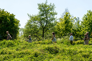 Tegel afbeelding_duurzame en groene stad_300 bij 200