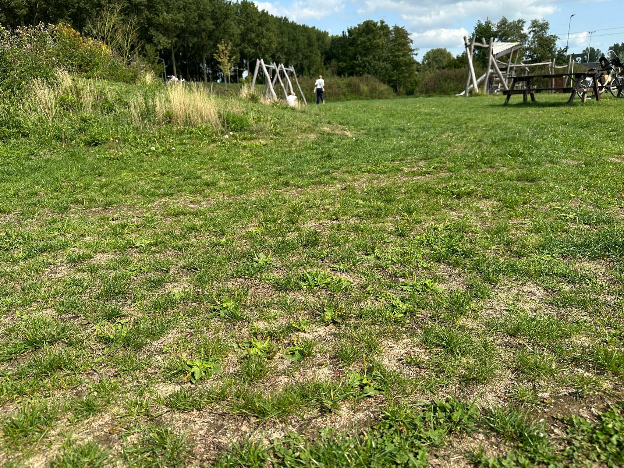 reewegpark grasveld