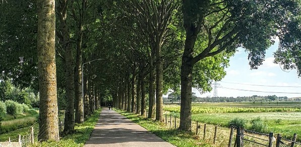 Provincialeweg