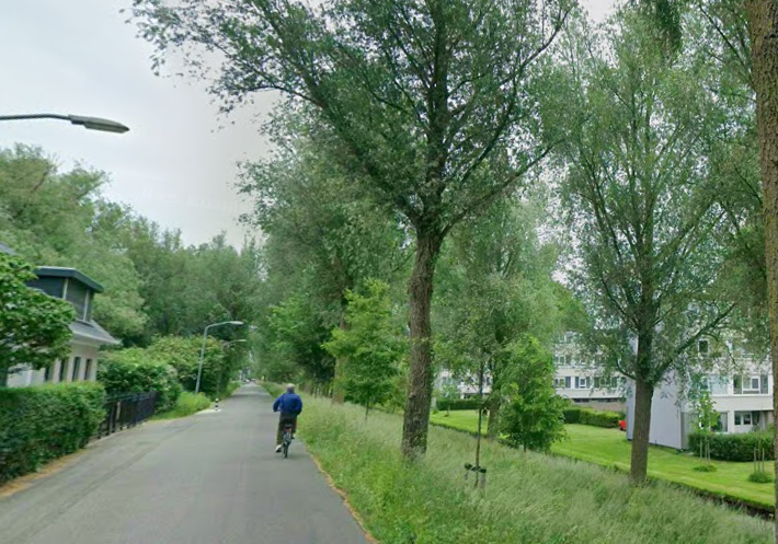 Zuidendijk - werk aan de weg